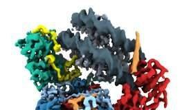 Study reveals the inner workings of a molecular motor that packs and unpacks DNA