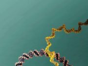 Tiny nanomachine successfully completes test drive