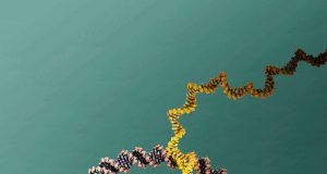 Tiny nanomachine successfully completes test drive