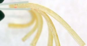 Using caffeine as a catalyst researchers create new gels for drug delivery