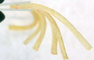 Using caffeine as a catalyst, researchers create new gels for drug delivery Using caffeine as a catalyst researchers create new gels for drug delivery