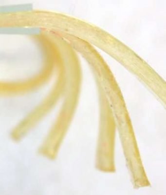 Using caffeine as a catalyst, researchers create new gels for drug delivery Using caffeine as a catalyst researchers create new gels for drug delivery