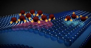 Using water molecules to read electrical activity in lipid membranes