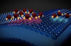 Using water molecules to read electrical activity in lipid membranes