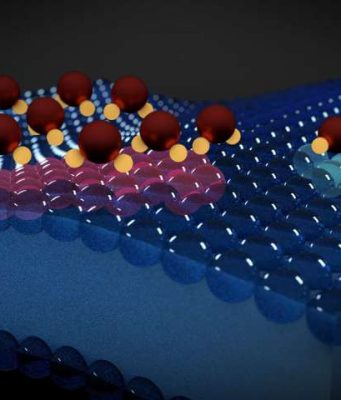 Using water molecules to read electrical activity in lipid membranes Using water molecules to read electrical activity in lipid membranes