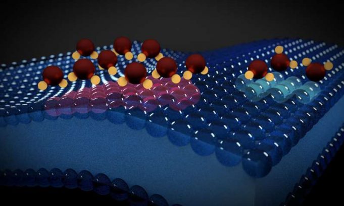 Using water molecules to read electrical activity in lipid membranes Using water molecules to read electrical activity in lipid membranes
