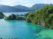 Wildlife haven of Sulawesi much younger than first thought according to new research