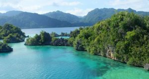 Wildlife haven of Sulawesi much younger than first thought according to new research