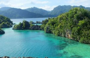 Wildlife haven of Sulawesi much younger than first thought, according to new research Wildlife haven of Sulawesi much younger than first thought according to new research