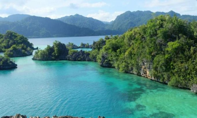 Wildlife haven of Sulawesi much younger than first thought, according to new research Wildlife haven of Sulawesi much younger than first thought according to new research