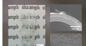 Worlds oldest insect inspires a new generation of aerogels