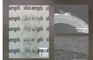 World’s oldest insect inspires a new generation of aerogels Worlds oldest insect inspires a new generation of aerogels