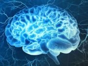 A physical basis for the cognitive process of decision making