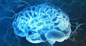 A physical basis for the cognitive process of decision making