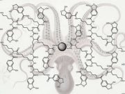 Chemical octopus catches sneaky cancer clues trace glycoproteins