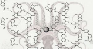 Chemical octopus catches sneaky cancer clues trace glycoproteins