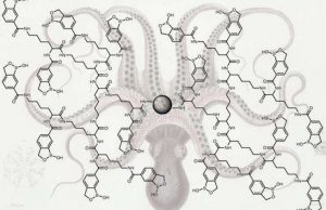 Chemical octopus catches sneaky cancer clues, trace glycoproteins Chemical octopus catches sneaky cancer clues trace glycoproteins