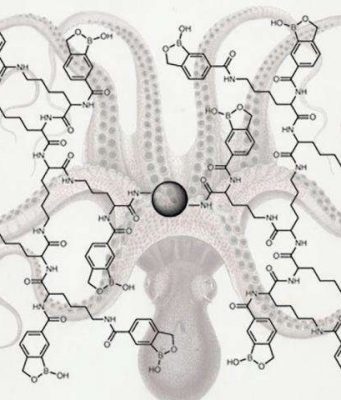 Chemical octopus catches sneaky cancer clues trace glycoproteins