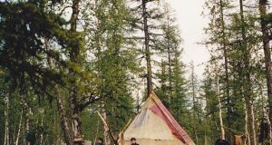 DNA sequences suggest 250 people made up original Native American founding population