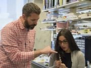 Even brief maternal deprivation early in life alters adult brain function and cognition Rat study