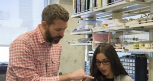 Even brief maternal deprivation early in life alters adult brain function and cognition Rat study