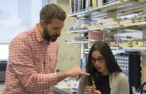 Even brief maternal deprivation early in life alters adult brain function and cognition: Rat study Even brief maternal deprivation early in life alters adult brain function and cognition Rat study