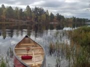 Greenhouse gas feedback loop discovered in freshwater lakes