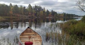 Greenhouse gas feedback loop discovered in freshwater lakes
