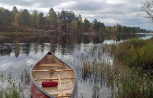 Greenhouse gas ‘feedback loop’ discovered in freshwater lakes Greenhouse gas feedback loop discovered in freshwater lakes