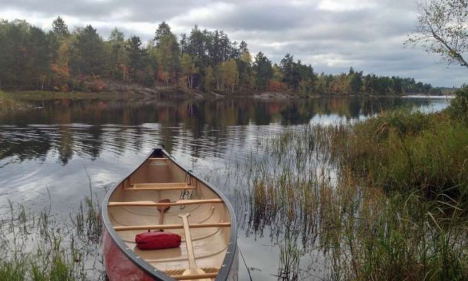 Greenhouse gas feedback loop discovered in freshwater lakes