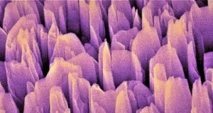 Harvesting clean hydrogen fuel through artificial photosynthesis