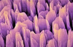Harvesting clean hydrogen fuel through artificial photosynthesis Harvesting clean hydrogen fuel through artificial photosynthesis