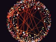 Math sheds light on how living cells think