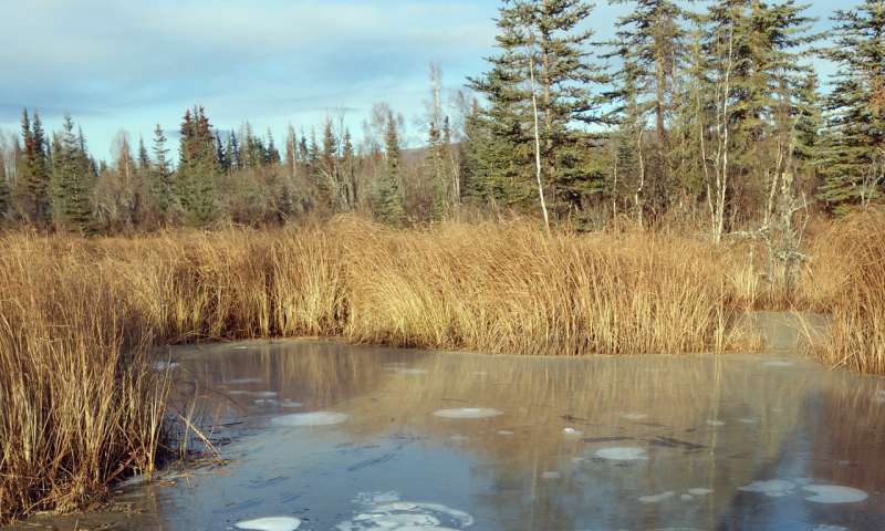 Abrupt thaw of permafrost beneath lakes could significantly affect climate change models