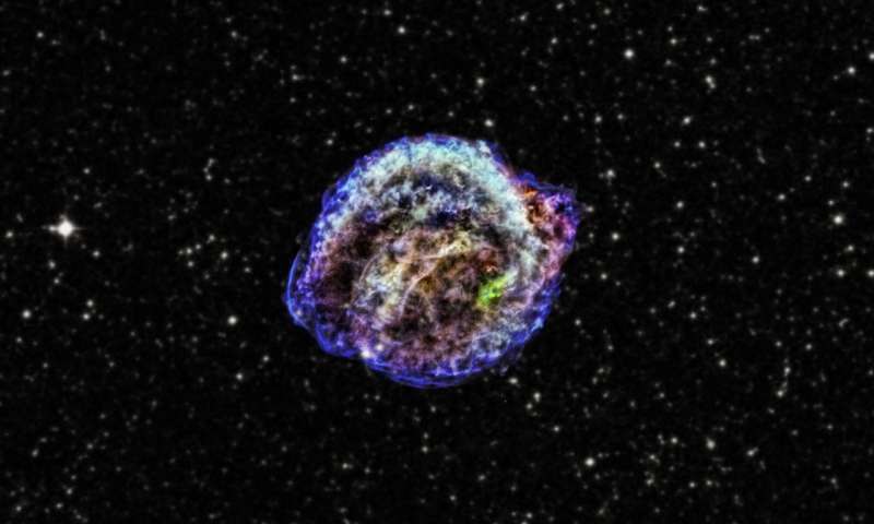 After the Kepler supernova explosion no survivors were left behind