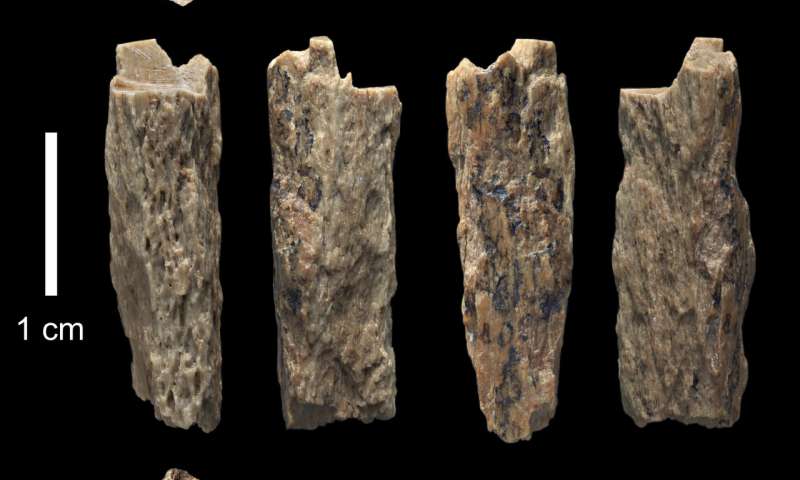 Neandertal mother Denisovan father—Newly sequenced genome sheds light on interactions between ancient hominins