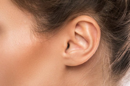 Discovery of new neurons in the inner ear can lead to new therapies for hearing disorders