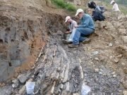 End Permian extinction which wiped out most of Earths species was instantaneous in geological time
