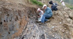 End Permian extinction which wiped out most of Earths species was instantaneous in geological time