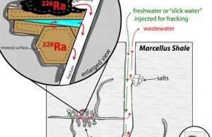 How slick water and black shale in fracking combine to produce radioactive waste How slick water and black shale in fracking combine to produce radioactive waste