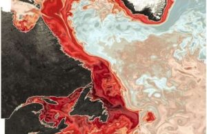 Large-scale shift causing lower-oxygen water to invade Canada’s Gulf of St. Lawrence Large scale shift causing lower oxygen water to invade Canadas Gulf of St. Lawrence