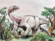 Ledumahadi mafube—South Africas new jurassic giant