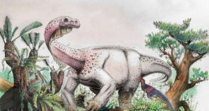 Ledumahadi mafube—South Africas new jurassic giant