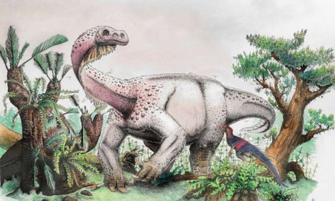 Ledumahadi mafube—South Africa’s new jurassic giant Ledumahadi mafube—South Africas new jurassic giant