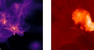 Looking back in time to watch for a different kind of black hole