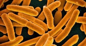 Microbial dark matter dominates Earths environments