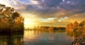 Microplastics are being overlooked in river ecosystems 50 percent of freshwater insects contaminated
