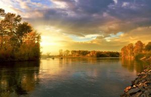 Microplastics are being overlooked in river ecosystems, 50 percent of freshwater insects contaminated Microplastics are being overlooked in river ecosystems 50 percent of freshwater insects contaminated