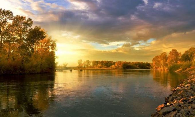 Microplastics are being overlooked in river ecosystems 50 percent of freshwater insects contaminated