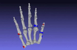 Neanderthals were no brutes – research reveals they may have been precision workers Neanderthals were no brutes – research reveals they may have been precision workers